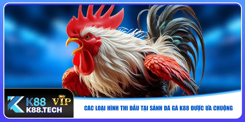 Đá Gà K88 - Xem Live Chuẩn HD, Vào Tiền Nhanh, Thắng Lớn Đá Gà K88 - Xem Live Chuẩn HD, Vào Tiền Nhanh, Thắng Lớn