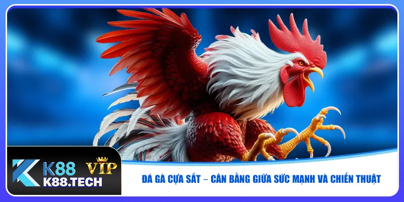 Đá Gà K88 - Xem Live Chuẩn HD, Vào Tiền Nhanh, Thắng Lớn Đá Gà K88 - Xem Live Chuẩn HD, Vào Tiền Nhanh, Thắng Lớn