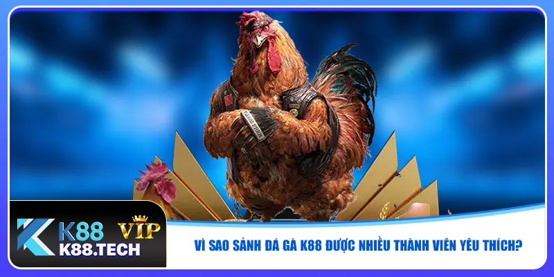 Đá Gà K88 - Xem Live Chuẩn HD, Vào Tiền Nhanh, Thắng Lớn Đá Gà K88 - Xem Live Chuẩn HD, Vào Tiền Nhanh, Thắng Lớn