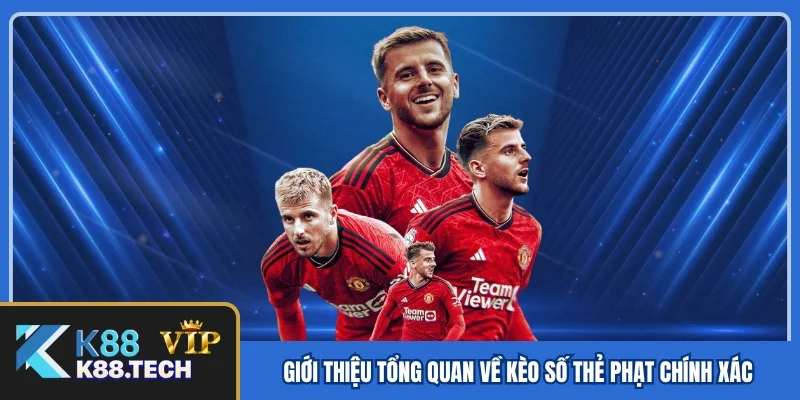 Kèo Số Thẻ Phạt Chính Xác - Kinh Nghiệm “Về Bờ” An Toàn